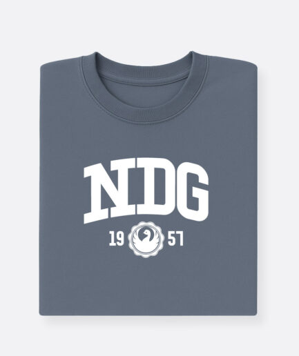 NDG - Logo - Sweat Iron Grey Adultes